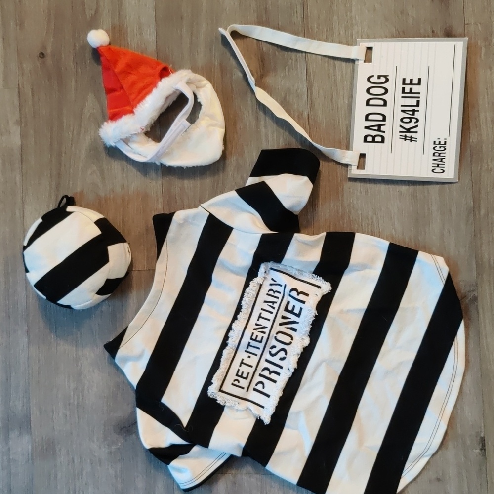 Dog outfit / costume